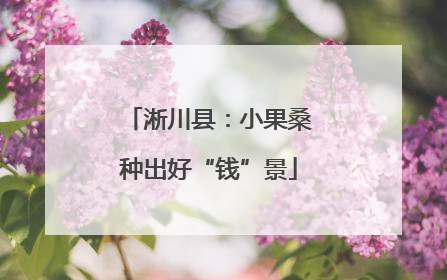 淅川县：小果桑种出好“钱”景