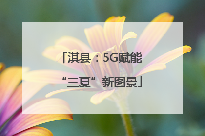 淇县：5G赋能“三夏”新图景