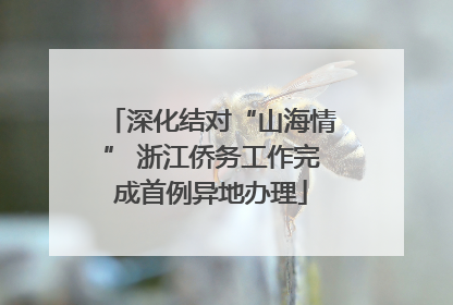 深化结对“山海情” 浙江侨务工作完成首例异地办理