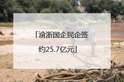 渝浙国企民企签约25.7亿元