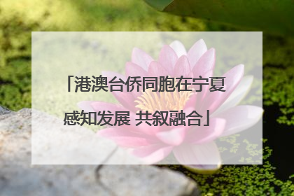 港澳台侨同胞在宁夏感知发展 共叙融合