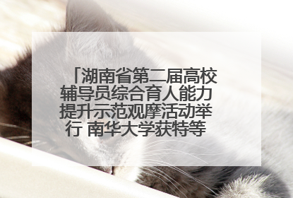 湖南省第二届高校辅导员综合育人能力提升示范观摩活动举行 南华大学获特等奖和一等奖