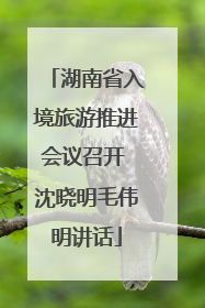 湖南省入境旅游推进会议召开 沈晓明毛伟明讲话