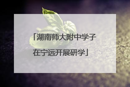 湖南师大附中学子在宁远开展研学