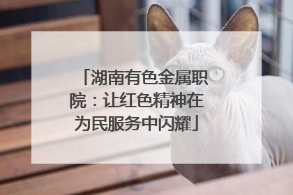 湖南有色金属职院：让红色精神在为民服务中闪耀