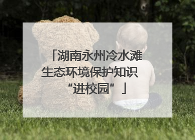 湖南永州冷水滩生态环境保护知识“进校园”