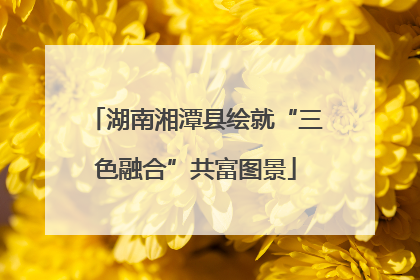湖南湘潭县绘就“三色融合”共富图景