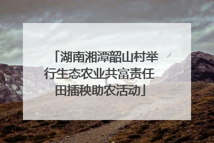 湖南湘潭韶山村举行生态农业共富责任田插秧助农活动