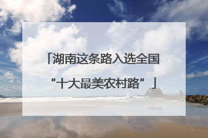 湖南这条路入选全国“十大最美农村路”