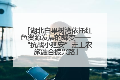 湖北白果树湾依托红色资源发展的蝶变——“抗战小延安”走上农旅融合振兴路