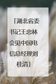 湖北省委书记王忠林会见中国电信总经理刘桂清