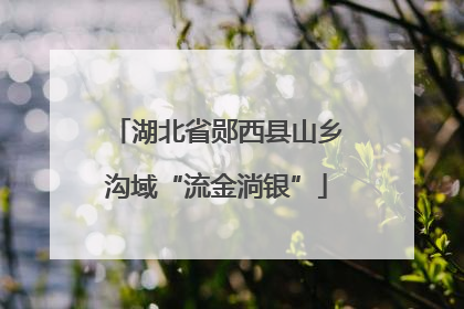 湖北省郧西县山乡沟域“流金淌银”
