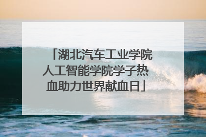 湖北汽车工业学院人工智能学院学子热血助力世界献血日