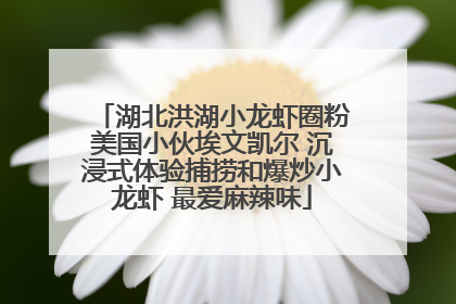 湖北洪湖小龙虾圈粉美国小伙埃文凯尔 沉浸式体验捕捞和爆炒小龙虾 最爱麻辣味