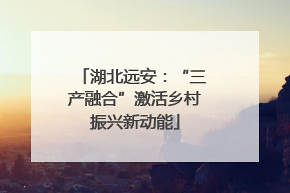 湖北远安：“三产融合”激活乡村振兴新动能