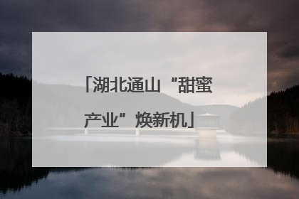 湖北通山“甜蜜产业”焕新机