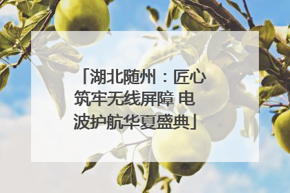 湖北随州：匠心筑牢无线屏障 电波护航华夏盛典