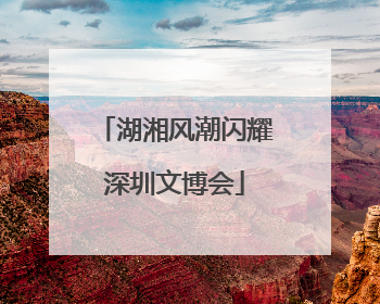 湖湘风潮闪耀深圳文博会