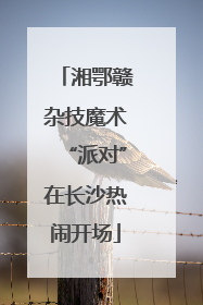 湘鄂赣杂技魔术“派对”在长沙热闹开场