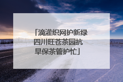 滴灌织网护新绿 四川旺苍茶园抗旱保茶管护忙