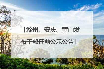 滁州、安庆、黄山发布干部任前公示公告