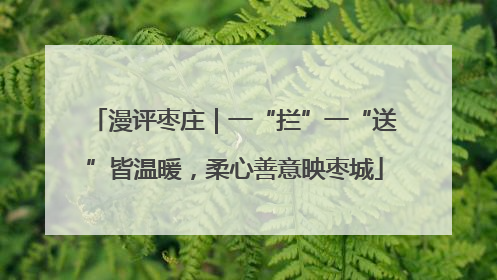 漫评枣庄｜一“拦”一“送”皆温暖，柔心善意映枣城