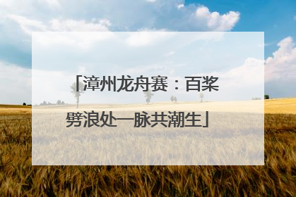 漳州龙舟赛：百桨劈浪处一脉共潮生