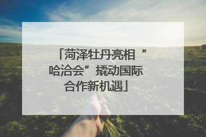 菏泽牡丹亮相“哈洽会”撬动国际合作新机遇