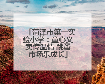 菏泽市第一实验小学：童心义卖传温情 跳蚤市场乐成长