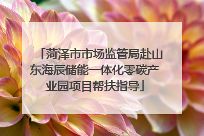 菏泽市市场监管局赴山东海辰储能一体化零碳产业园项目帮扶指导