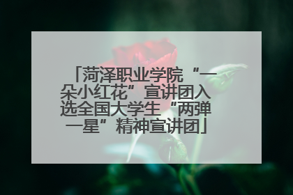 菏泽职业学院“一朵小红花”宣讲团入选全国大学生“两弹一星”精神宣讲团