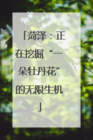 菏泽：正在挖掘“一朵牡丹花”的无限生机