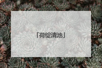 荷绽清池