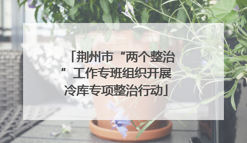 荆州市“两个整治”工作专班组织开展冷库专项整治行动