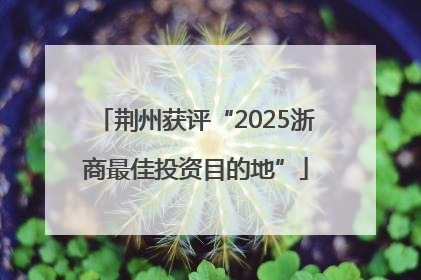 荆州获评“2025浙商最佳投资目的地”