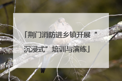 荆门消防进乡镇开展“沉浸式”培训与演练