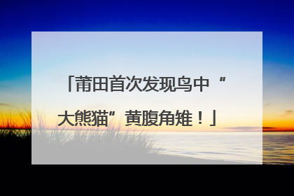 莆田首次发现鸟中“大熊猫”黄腹角雉！