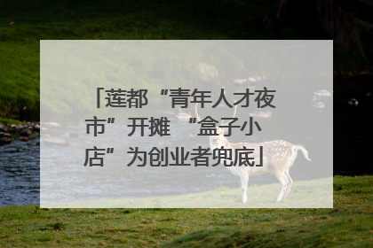 莲都“青年人才夜市”开摊 “盒子小店”为创业者兜底