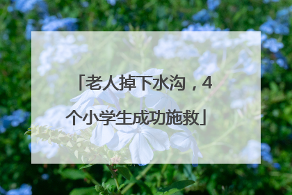 老人掉下水沟，4个小学生成功施救