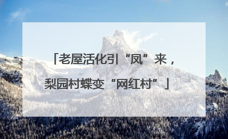 老屋活化引“凤”来，梨园村蝶变“网红村”
