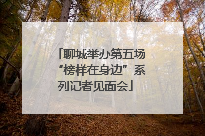 聊城举办第五场“榜样在身边”系列记者见面会