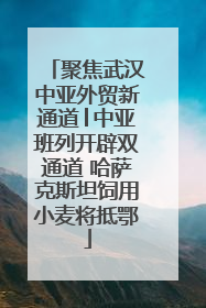 聚焦武汉中亚外贸新通道│中亚班列开辟双通道 哈萨克斯坦饲用小麦将抵鄂