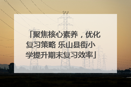 聚焦核心素养，优化复习策略 乐山县街小学提升期末复习效率