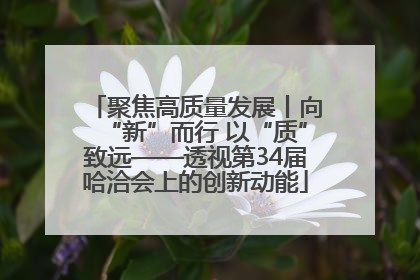 聚焦高质量发展丨向“新”而行 以“质”致远——透视第34届哈洽会上的创新动能