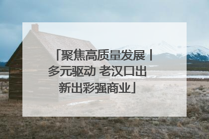 聚焦高质量发展丨多元驱动 老汉口出新出彩强商业