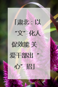 肃北：以“文”化人促效能 关爱干部出“心”招