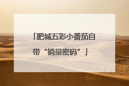 肥城五彩小番茄自带“销量密码”