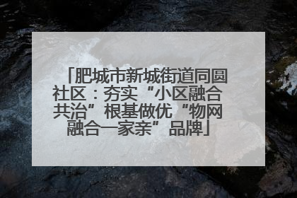 肥城市新城街道同圆社区：夯实“小区融合共治”根基做优“物网融合一家亲”品牌