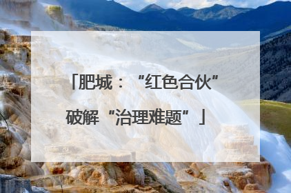 肥城：“红色合伙”破解“治理难题”