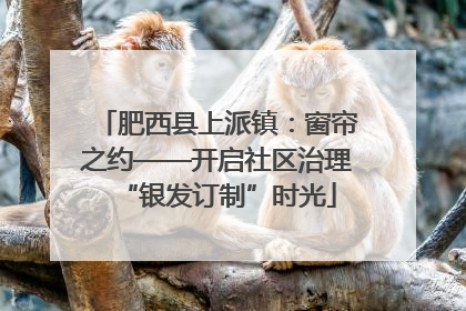 肥西县上派镇：窗帘之约——开启社区治理“银发订制”时光